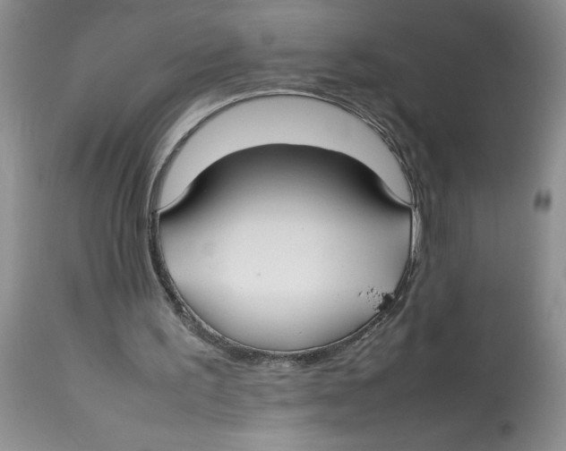 X0000112830195200909181657