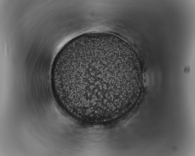 X0000112830196200909181657