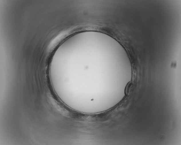 X0000112830197200909181657