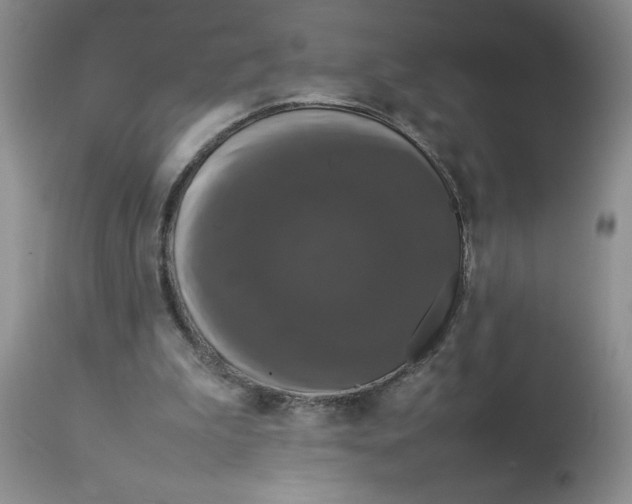 X0000112830199200909181657