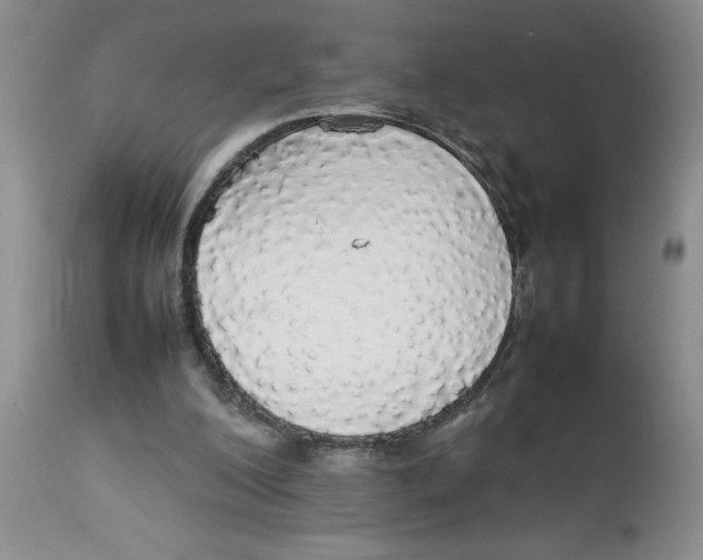 X0000112830200200909181657