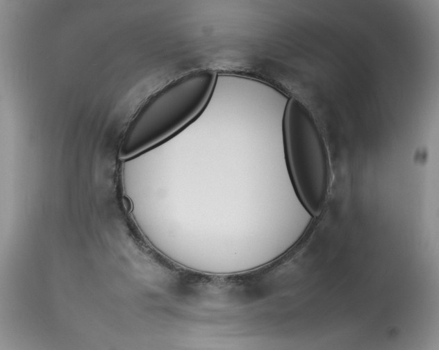 X0000112830201200909181657