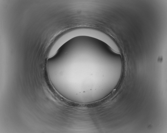 X0000112830203200909181657