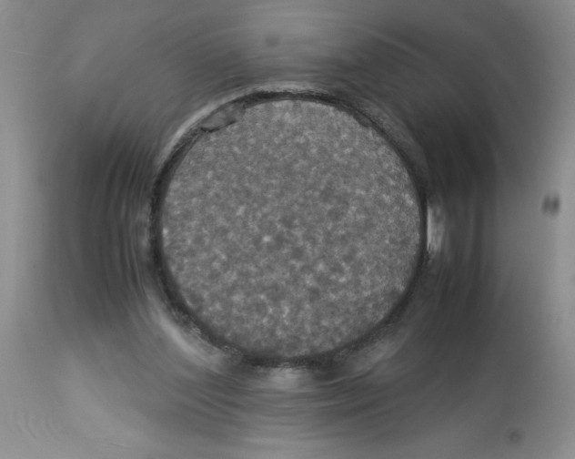 X0000112830204200909181657