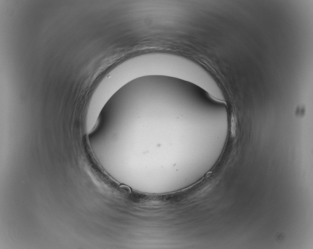 X0000112830205200909181657