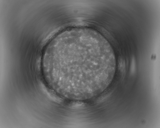 X0000112830206200909181657