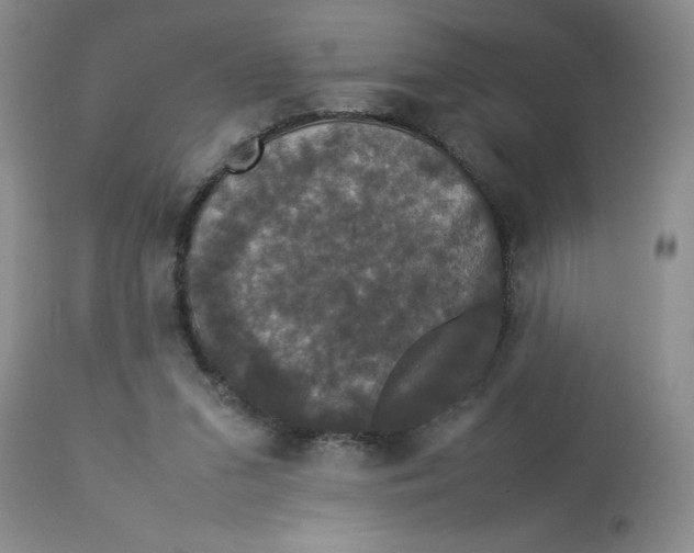 X0000112830207200909181657