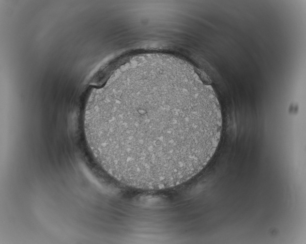 X0000112830208200909181657