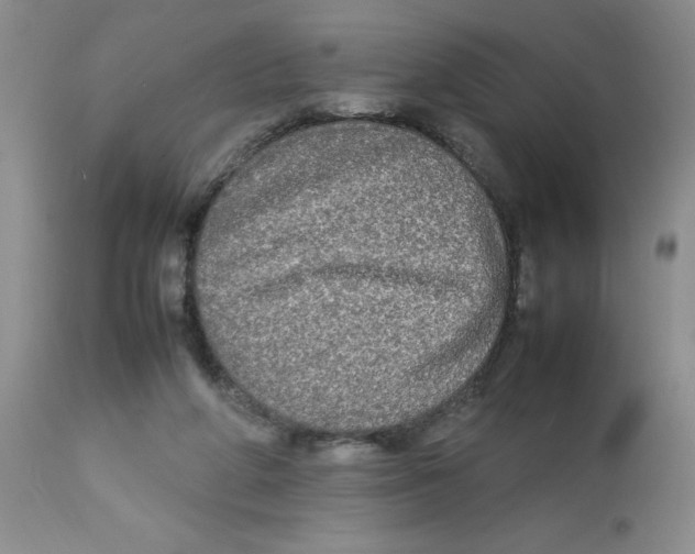 X0000112830210200909181657