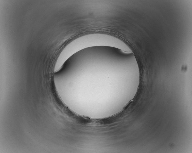 X0000112830211200909181657