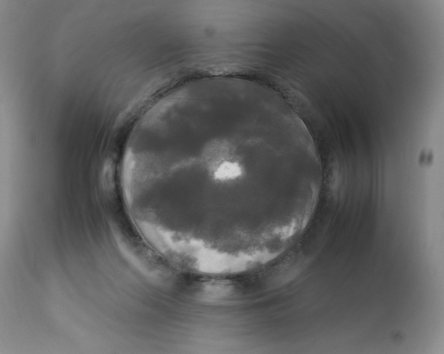 X0000112830214200909181657