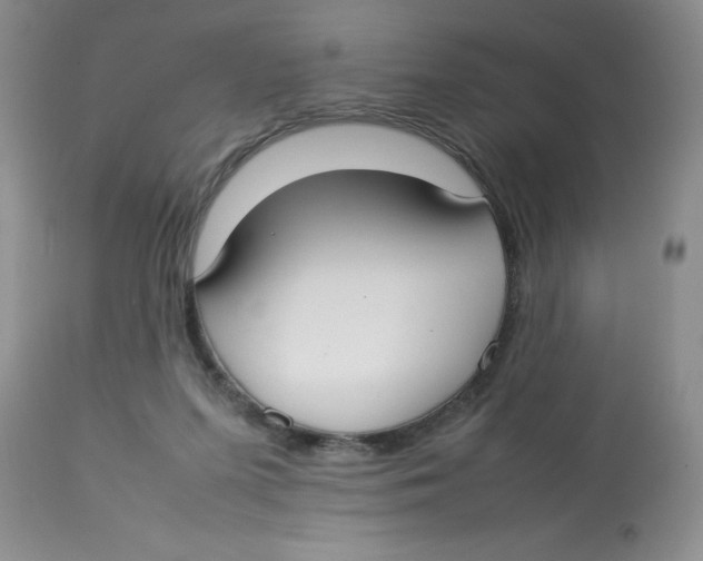 X0000112830215200909181657