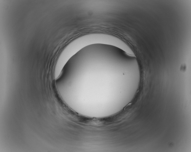 X0000112830217200909181657