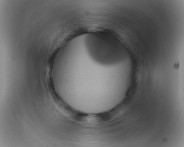 X0000112830219200909181657