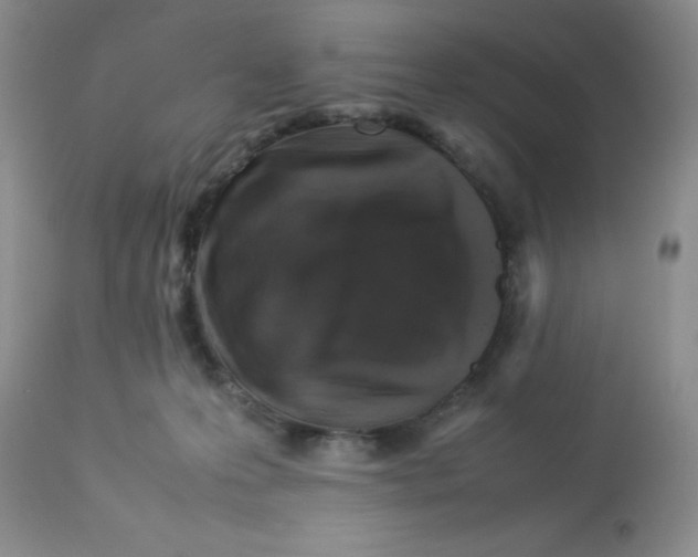 X0000112830223200909181657