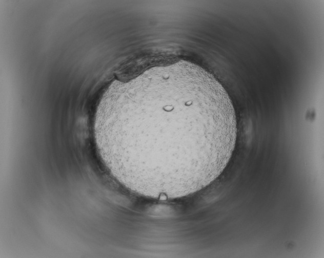 X0000112830224200909181657