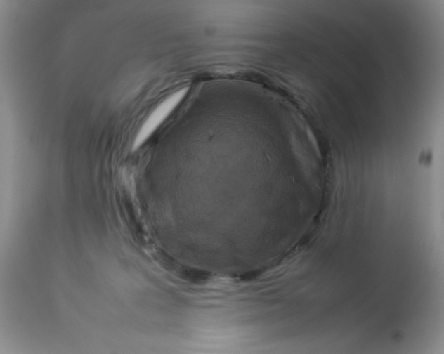 X0000112830227200909181657