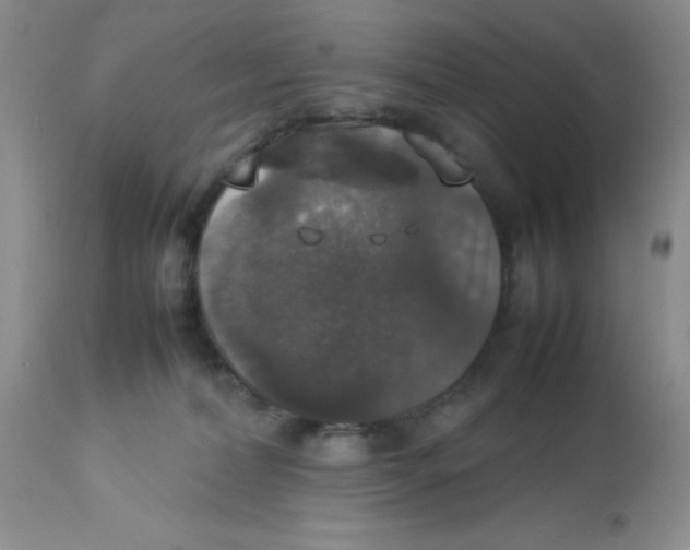 X0000112830228200909181657