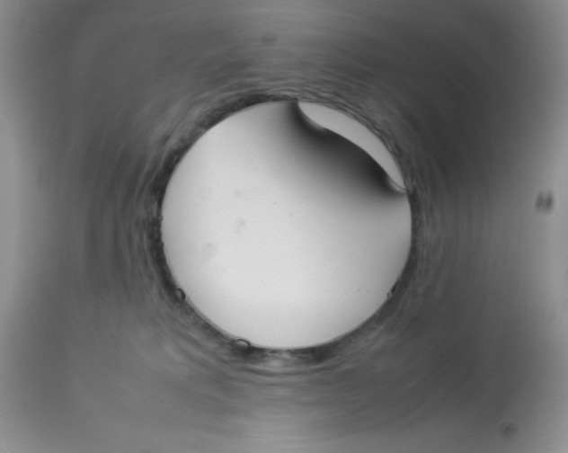 X0000112830229200909181657