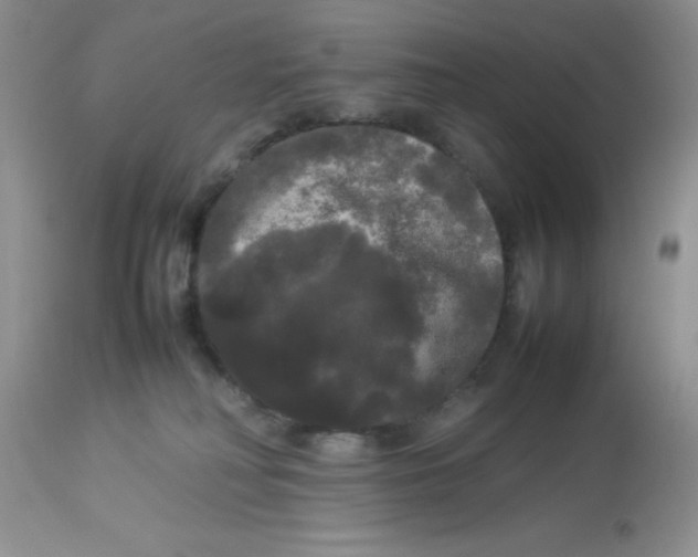 X0000112830230200909181657