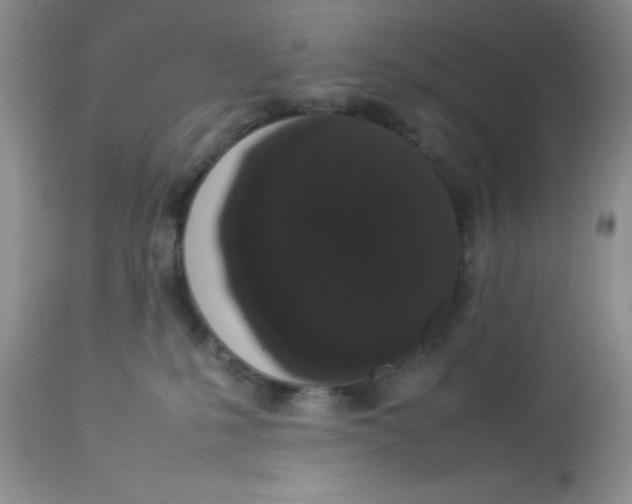 X0000112830231200909181657