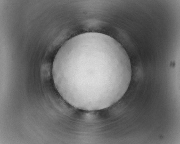 X0000112830232200909181657