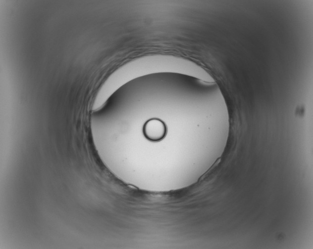 X0000112830233200909181657