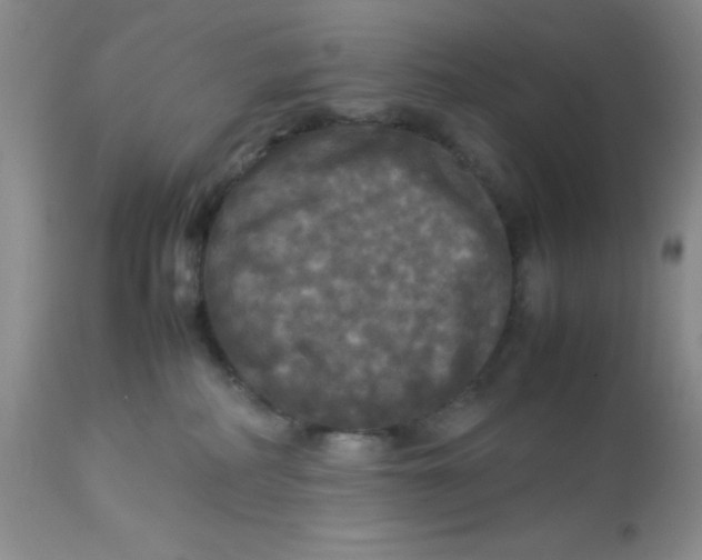 X0000112830234200909181657