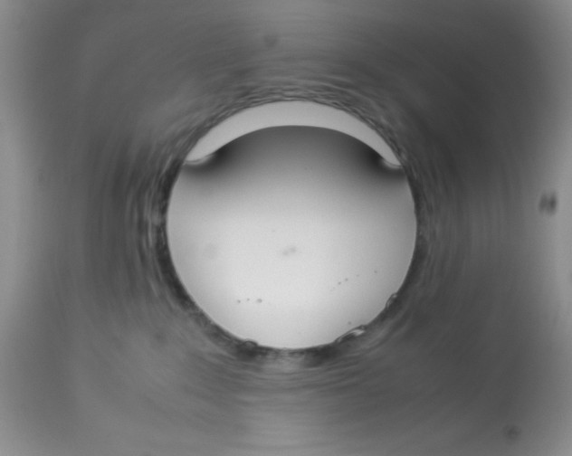 X0000112830235200909181657