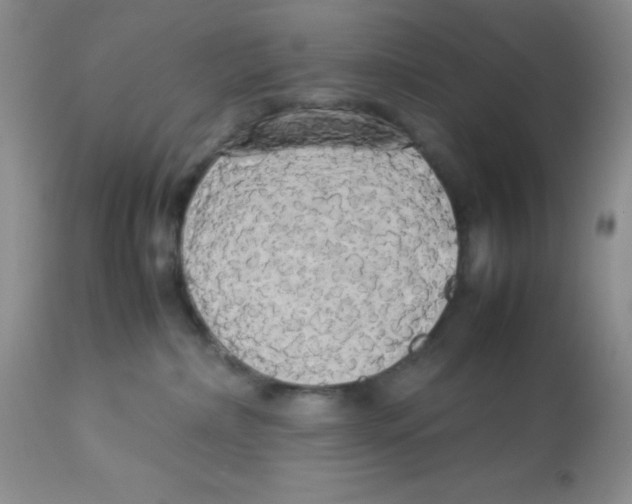 X0000112830236200909181657