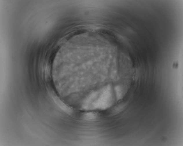 X0000112830238200909181657