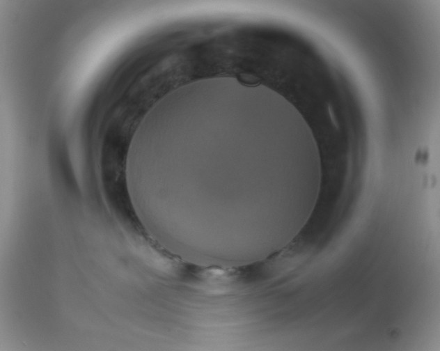 X0000112830239200909181657