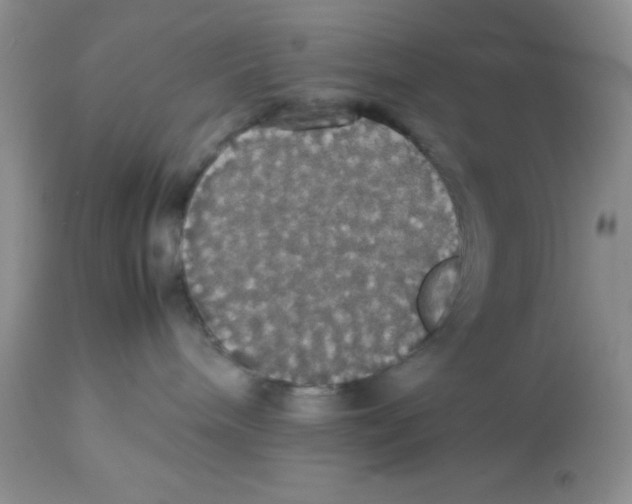 X0000112830240200909181657