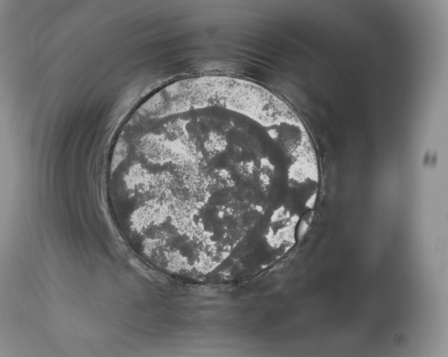 X0000112830241200909181656