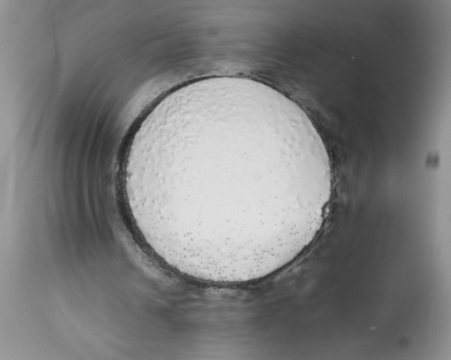 X0000112830242200909181656