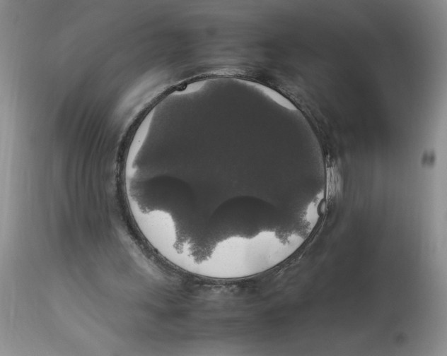 X0000112830243200909181656