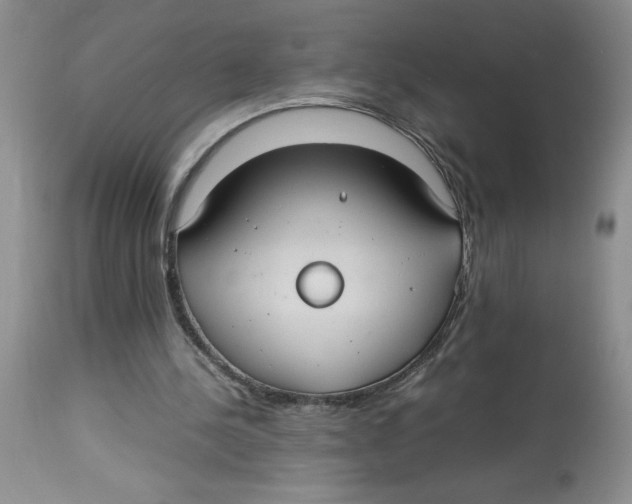 X0000112830244200909181656