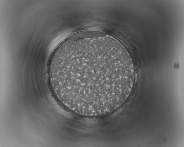 X0000112830245200909181656