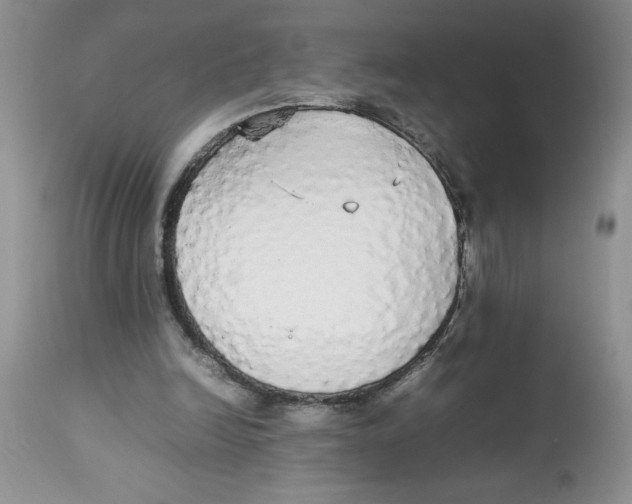 X0000112830246200909181656