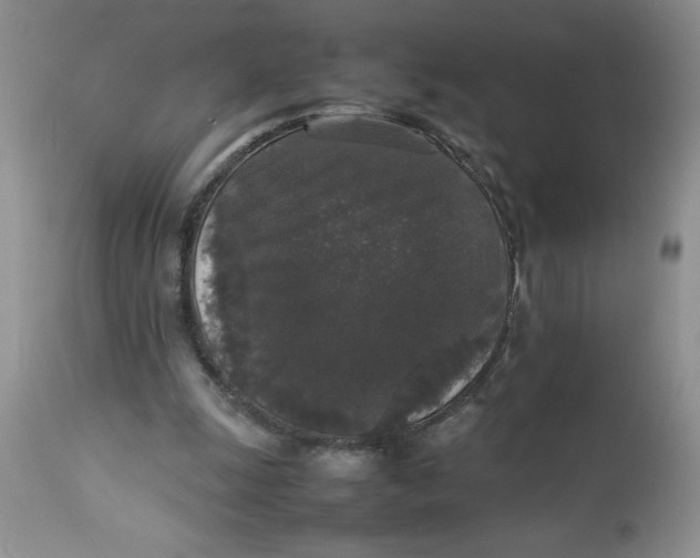 X0000112830247200909181656