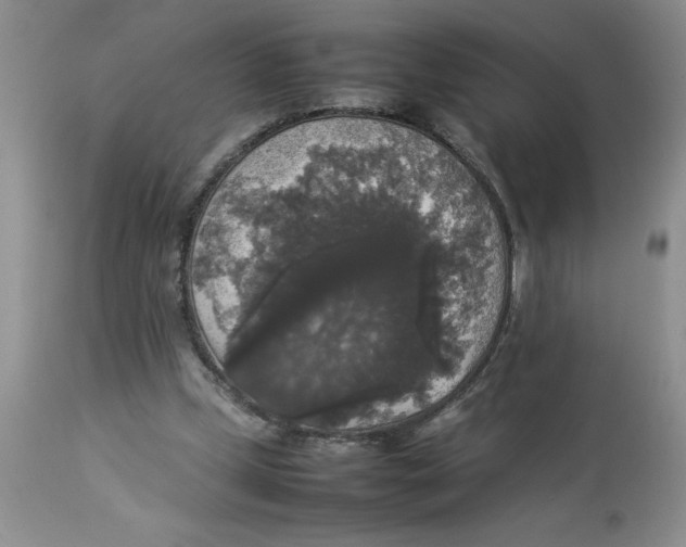 X0000112830249200909181656