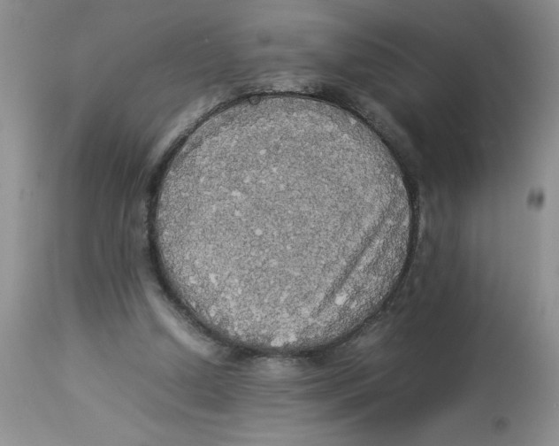 X0000112830250200909181656