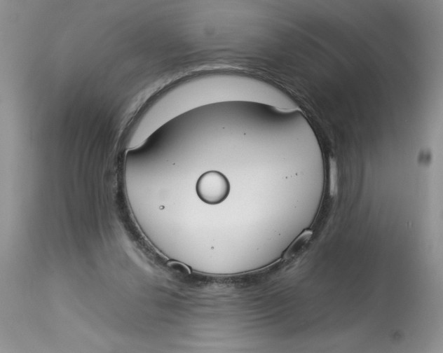 X0000112830252200909181656