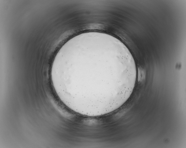 X0000112830253200909181656