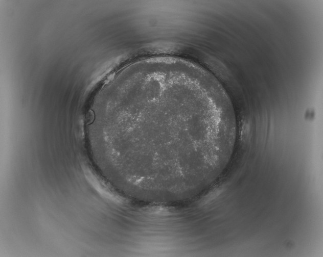 X0000112830254200909181656