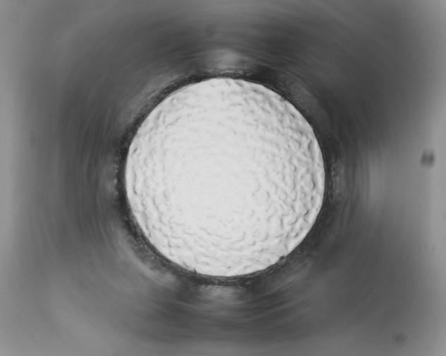 X0000112830255200909181656