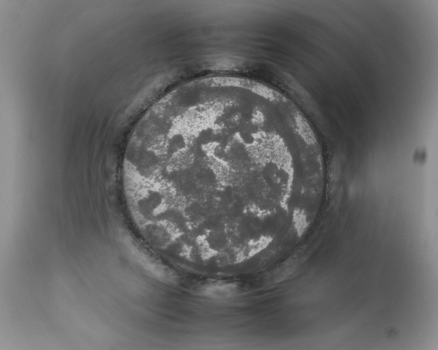 X0000112830257200909181656