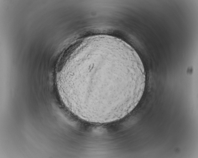 X0000112830258200909181656