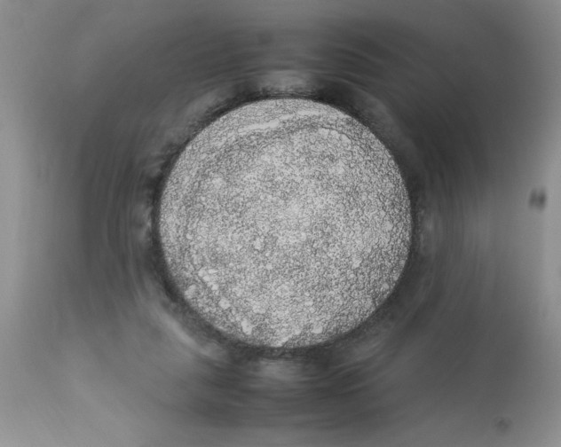 X0000112830259200909181656