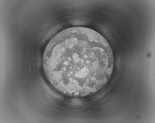 X0000112830261200909181656